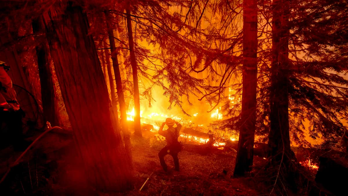 Blue River Fire