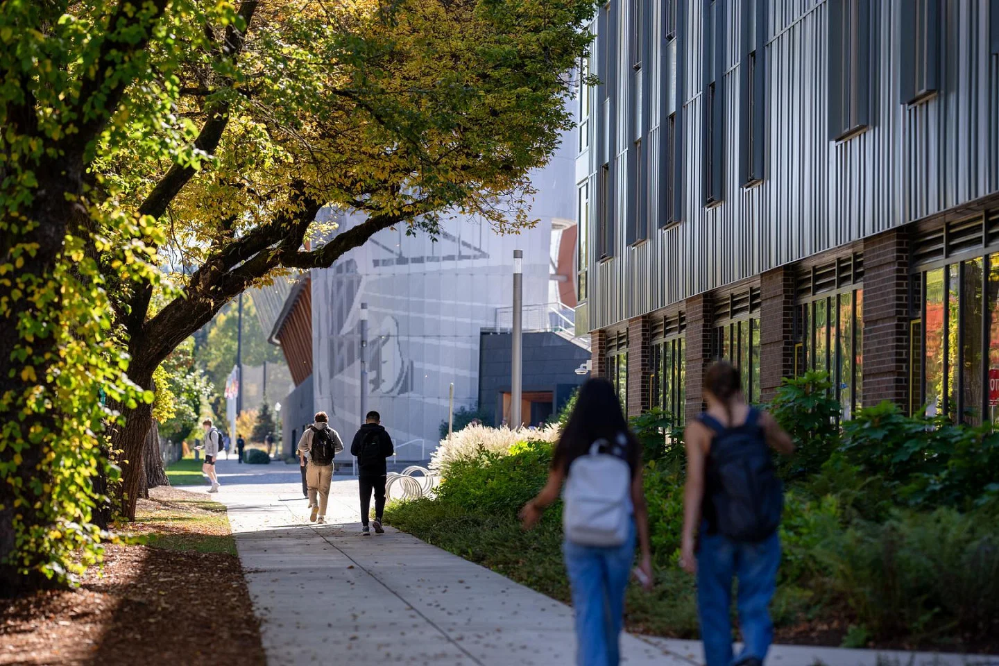People walk along a tree-lined sidewalk next to a modern building on a sunny day, with foliage and shadows creating a pleasant atmosphere.