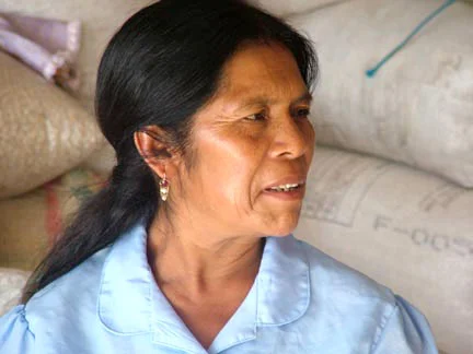 zoila Zoila Bautista Hernández