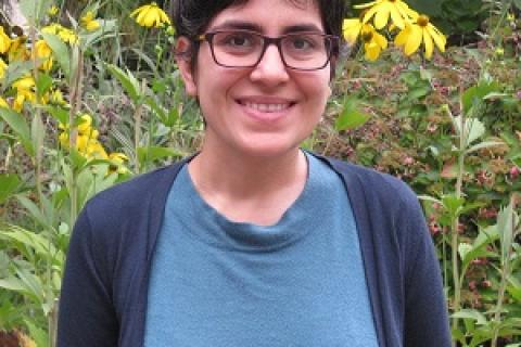Four selected to receive CSWS Travel Grants