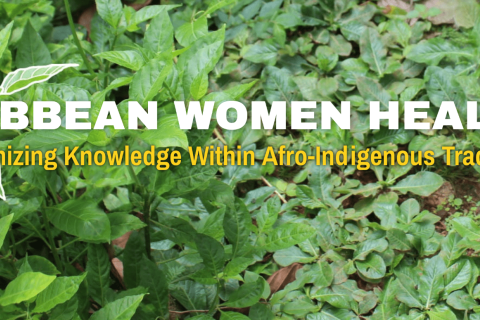 Leaves with the text, "Carribian Women Healers, Decolonizing Knowledge Within Afro-Indigenous Traditions".