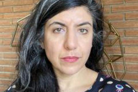 Tannaz Farsi