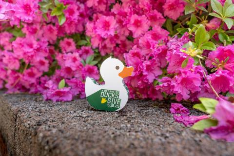 A paper DuckFunder Duck sitting on ledge in front of some flowers.