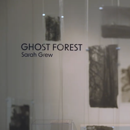Ghost Forest exhibit