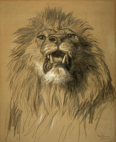 Lion drawing by Rosa Bonheur (c. 1875-1880s)