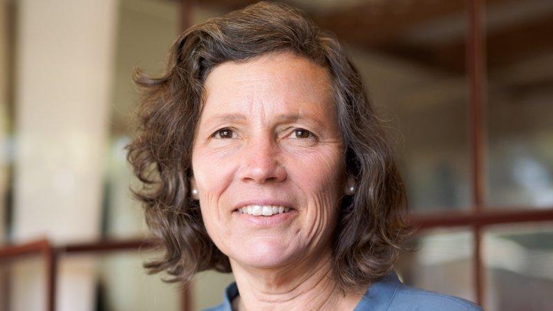 Jennifer Freyd