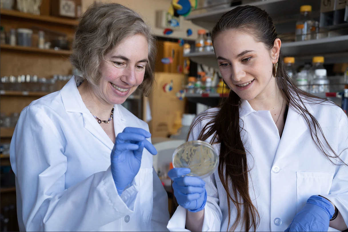 Karen Guillemin (left) and a student look at a petri dish.