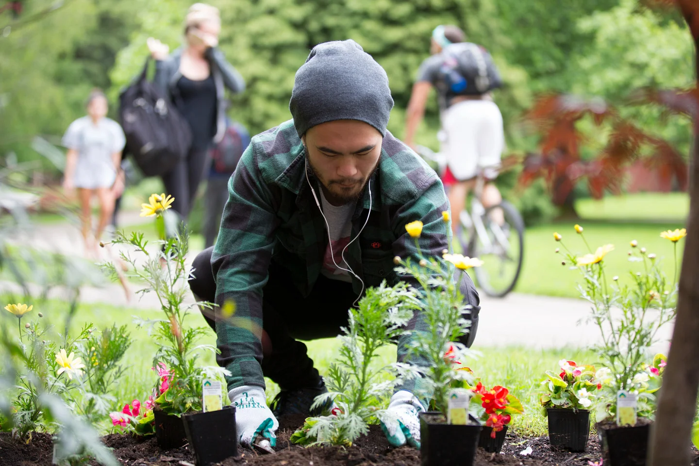 man plants in garden