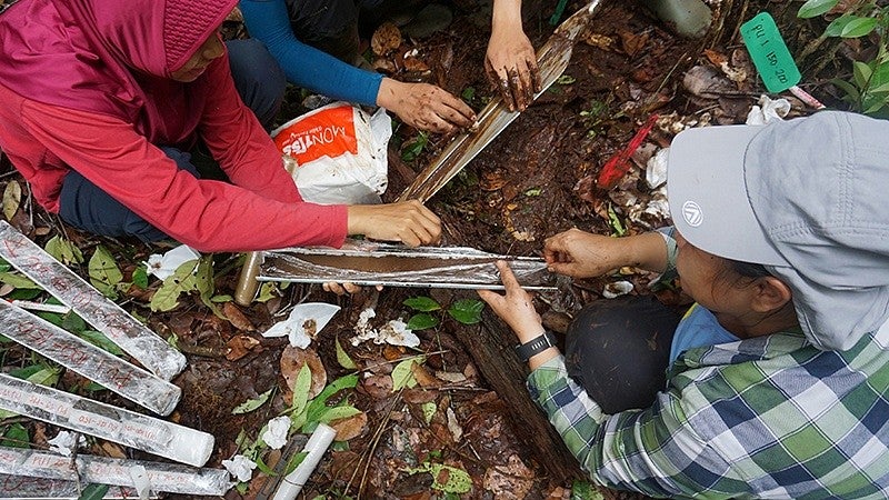 peatland in indonesia