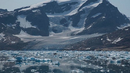 sermilik fjord
