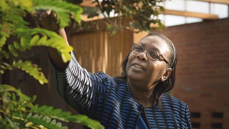 Dorceta Taylor