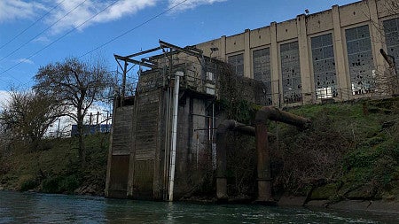 ewebsteamplant