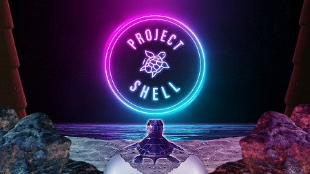 project_shell