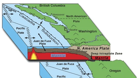 A diagram of the Cascadia Subduction Zone (graphic made by Oregon Department of Emergency Management)
