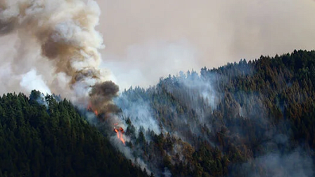 A wildfire burns on a forested mountainside, producing thick clouds of smoke. 
