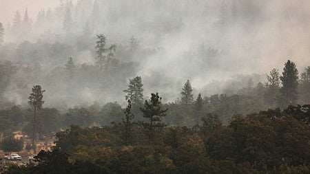 Smoke chokes a forest landscape in Eagle Point, Oregon