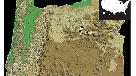 Map of Oregon with three numbered stars indicating sampling sites near the John Day Fossil Beds National Monument in eastern Oregon