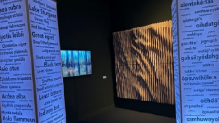 Transpecies Design Exhibit