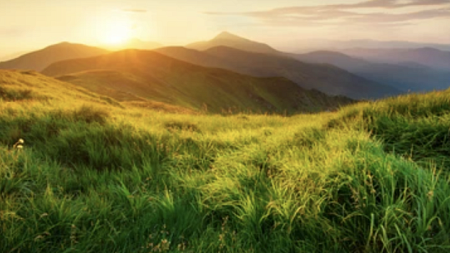Nature stock photo