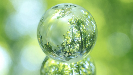 Raindrop reflecting a forest scene