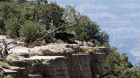Grand Canyon National Park