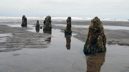 oregon coast