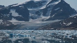 sermilik fjord