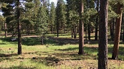 lakeviewcounty