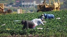 oregonfarmworkers