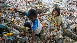 plastics