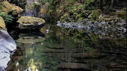 Willamette River