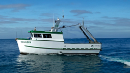 Megalopa Vessel