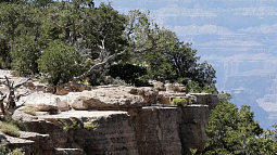 Grand Canyon National Park