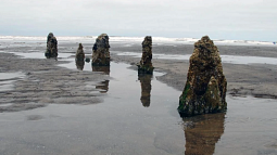 oregon coast