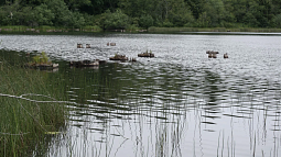 Price Lake