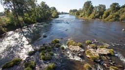 Willamette River
