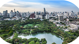 Park overlooking a city