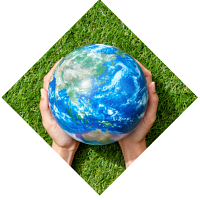 person holding earth grass background