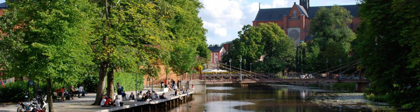  Students sit under the trees by the canal on a sunny day.