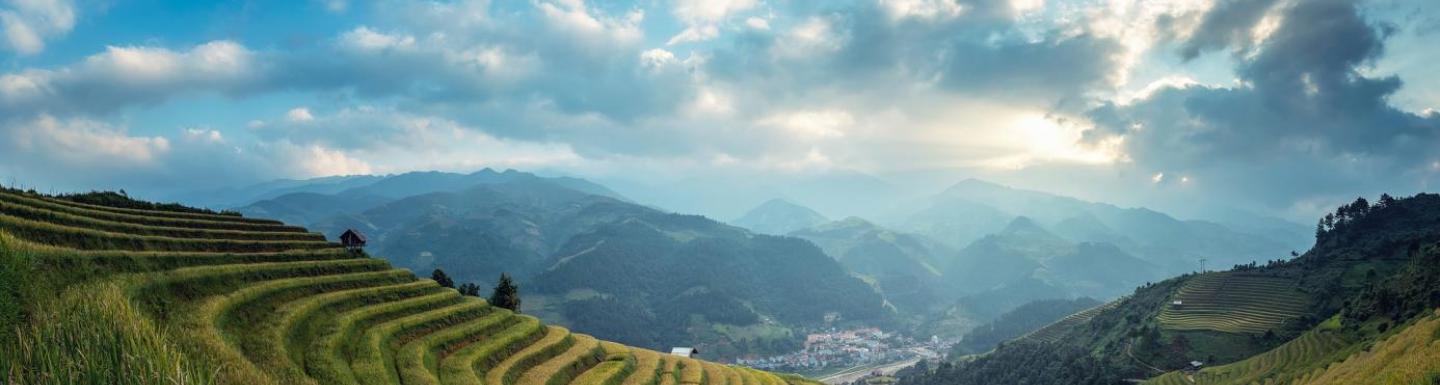 Image of green fields in Bali