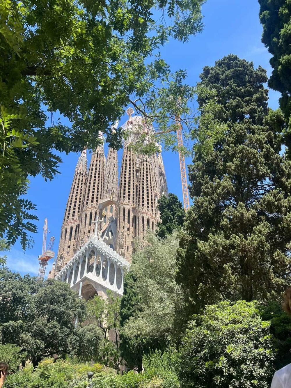 View of Basílica de la Sagrada Família on a sunny day surrounded by trees