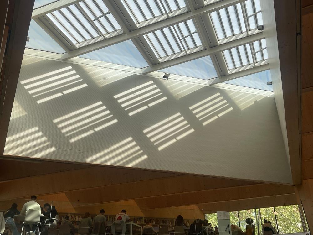 Inside view of CLT architecture with light reflecting through the window panels