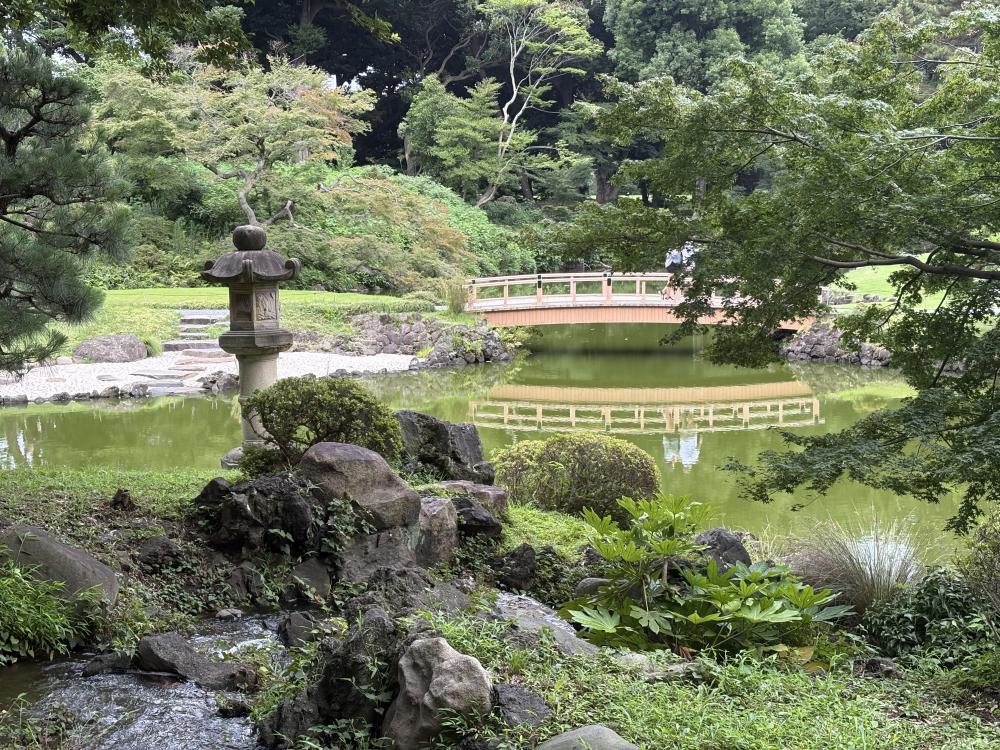 Traditional Japanese garden