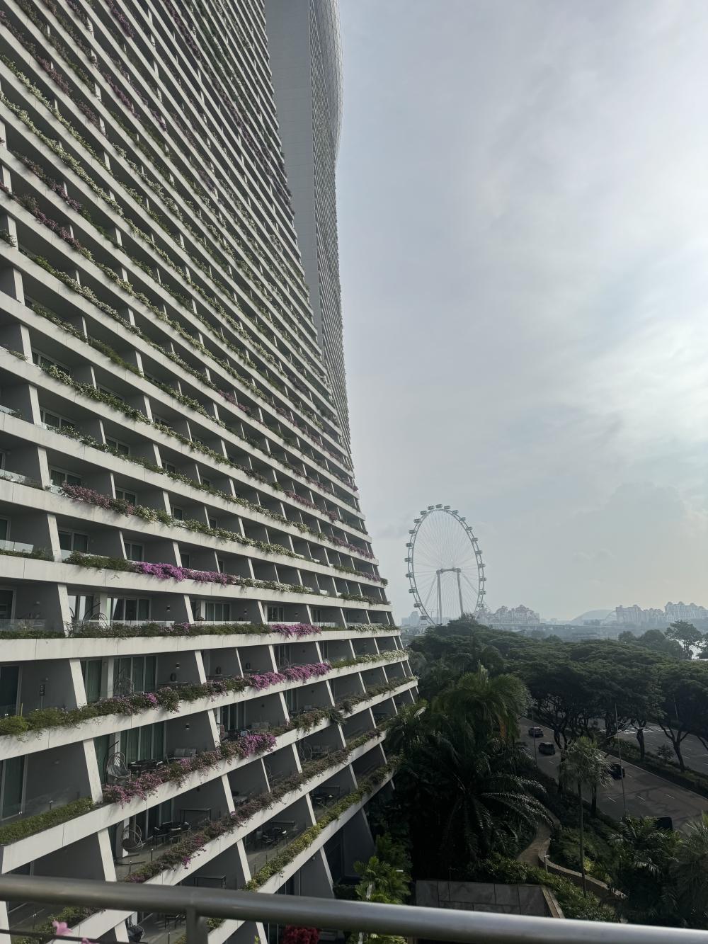 A view from an apartment building with a ferris wheel in the background