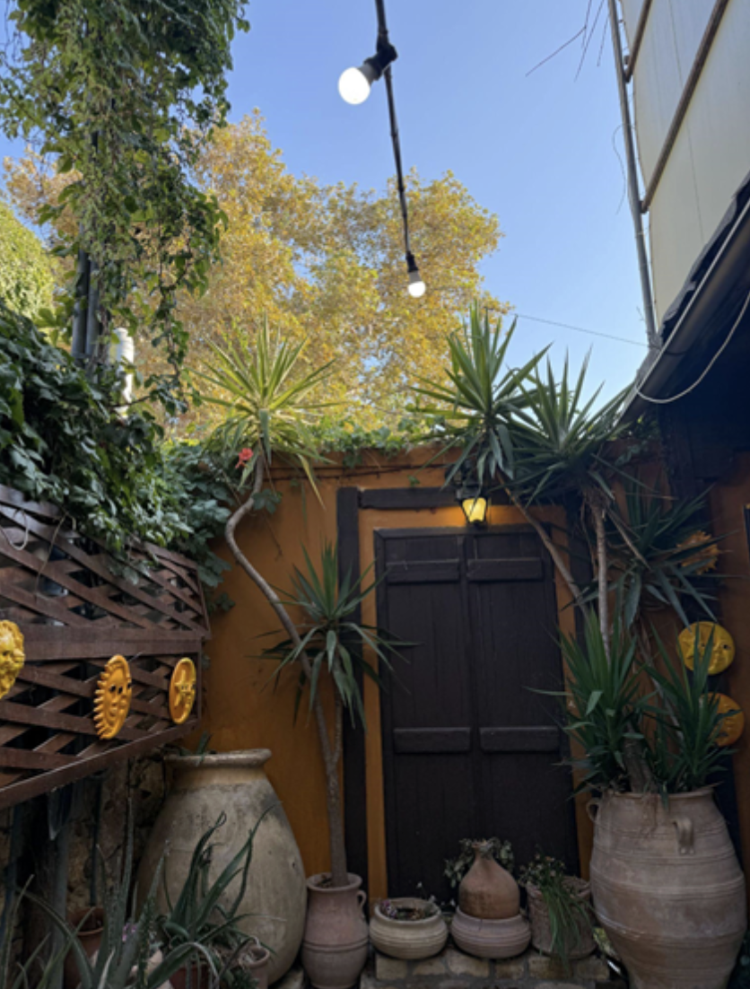 a brown door surrounded by a yellow wall. outside with plants