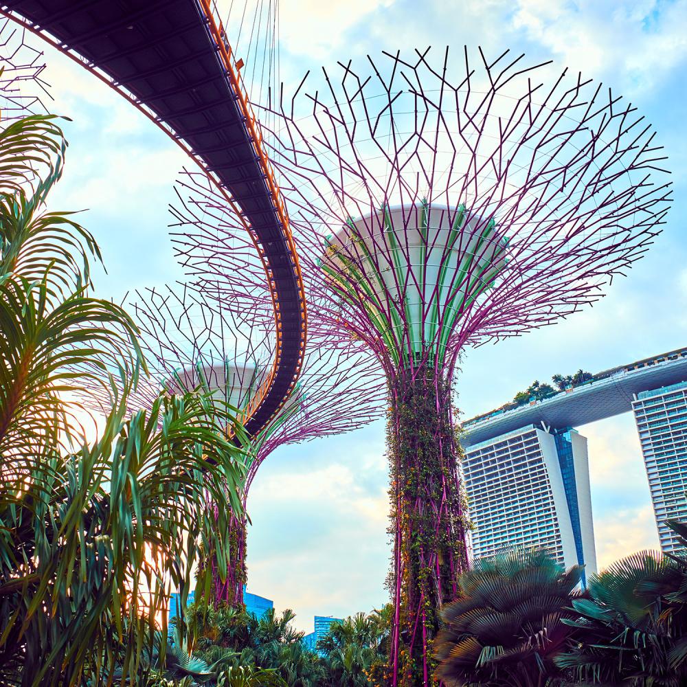 Singapore gardens by the bay