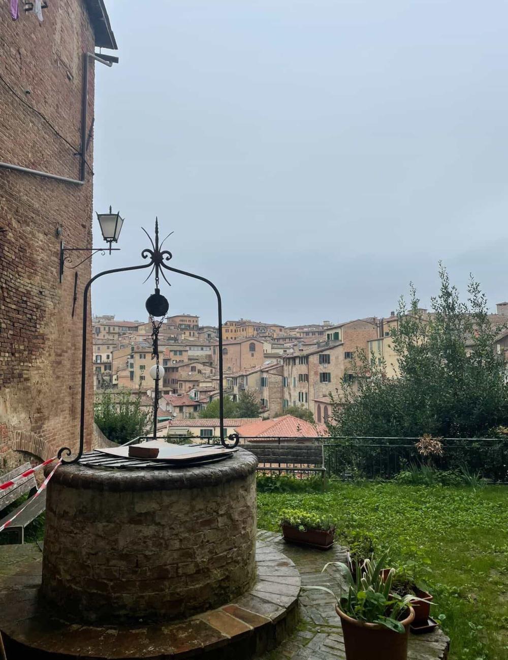 Water well on a patch of grass with dozens of Italian buildings in the skyline.