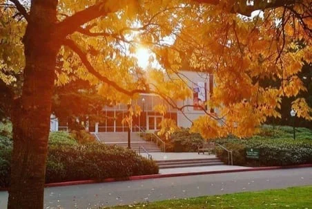 Campus with fall leaves