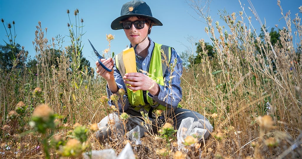 A young man in a field collects a flower for study