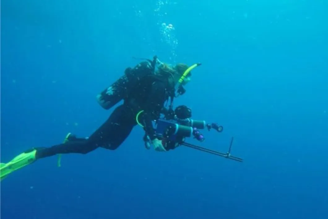 scuba diver in ocean